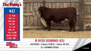 Lot #43J - B 9135 DOMINO 43J