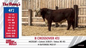 Lot #47J - B CROSSOVER 47J