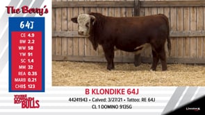 Lot #64J - B KLONDIKE 64J
