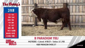 Lot #J118 - B PARADIGM 118J