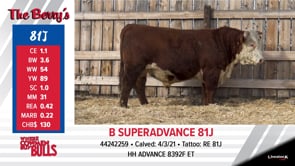 Lot #81J - B SUPERADVANCE 81J