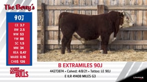 Lot #90J - B EXTRAMILES 90J