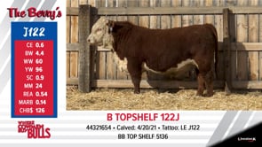 Lot #J122 - B TOPSHELF 122J