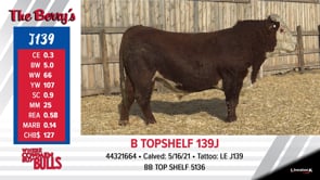 Lot #J139 - B TOPSHELF 139J