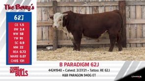 Lot #62J - B PARADIGM 62J