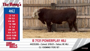 Lot #46J - B 7131 POWERPLAY 46J