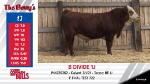 Lot #1J - B DIVIDE 1J
