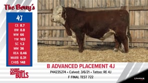 Lot #4J - BADVANCED PLACEMENT 4J