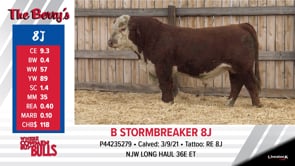 Lot #8J - B STORMBREAKER 8J
