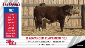 Lot #10J - B ADVANCED PLACEMENT 10J