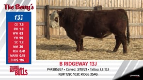 Lot #13J - B RIDGEWAY 13J