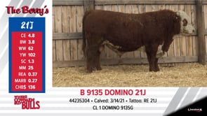 Lot #21J - B 9135 DOMINO 21J