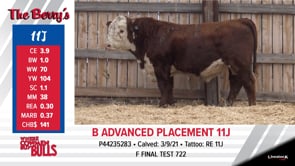 Lot #11J - B ADVANCED PLACEMENT 11J
