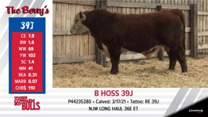 Lot #39J - B HOSS 39J