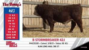 Lot #42J - B STORMBREAKER 42J