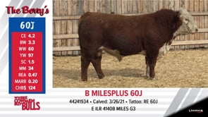 Lot #60J - B MILESPLUS 60J