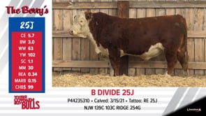 Lot #25J - B DIVIDE 25J