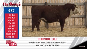 Lot #58J - B DIVIDE 58J