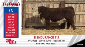 Lot #71J - B ENDURANCE 71J