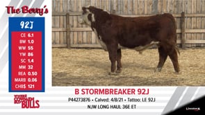 Lot #92J - B STORMBREAKER 92J