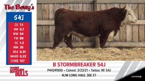 Lot #54J - B STORMBREAKER 54J