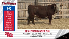 Lot #96J - B SUPERADVANCE 96J