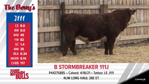 Lot #J111 - B STORMBREAKER 111J