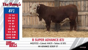 Lot #87J - B SUPER ADVANCE 87J