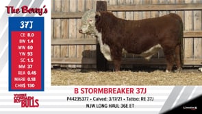 Lot #37J - B STORMBREAKER 37J