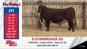 Lot #29J - B STORMBREAKER 29J