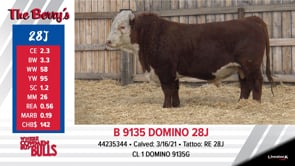 Lot #28J - B 9135 DOMINO 28J