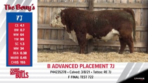 Lot #7J - B ADVANCED PLACEMENT 7J