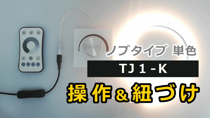 こんとろら 生産終了品】21Dシリーズ コントローラ 21D-265C｜全力で
