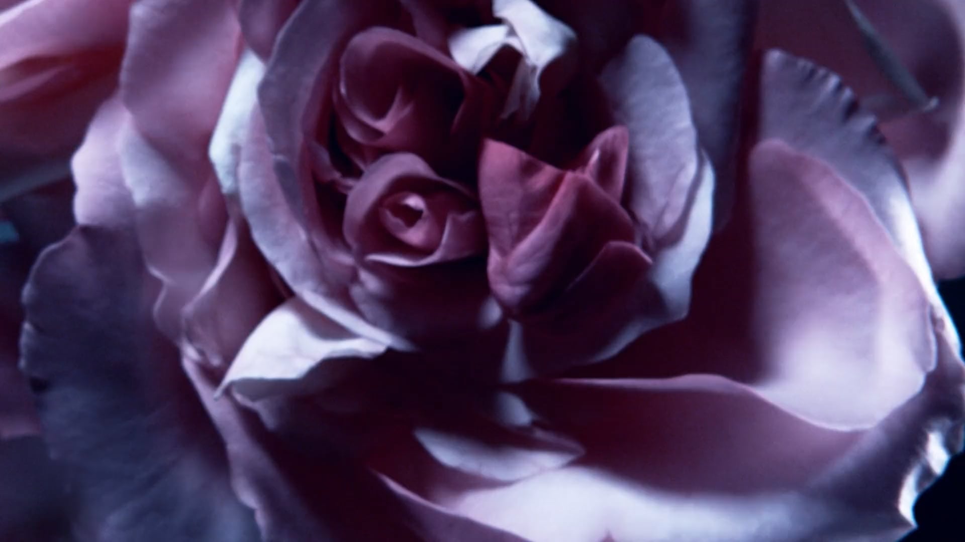 DIOR - GRIS DIOR