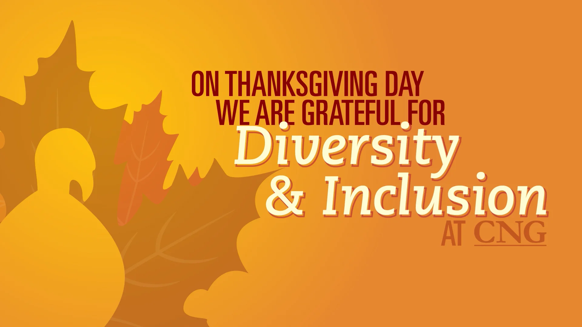 Diversity and Inclusion at CNG - November 2022.mp4 on Vimeo