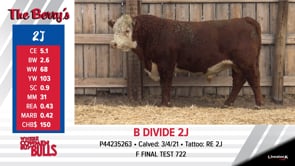 Lot #2J - B DIVIDE 2J