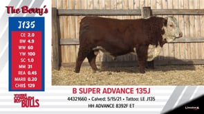 Lot #J135 - B SUPER ADVANCE 135J