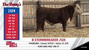 Lot #J124 - B STORMBREAKER J124