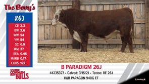 Lot #26J - B PARADIGM 26J