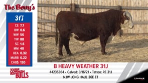 Lot #31J - B HEAVY WEATHER 31J