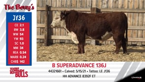 Lot #J136 - B SUPERADVANCE 136J