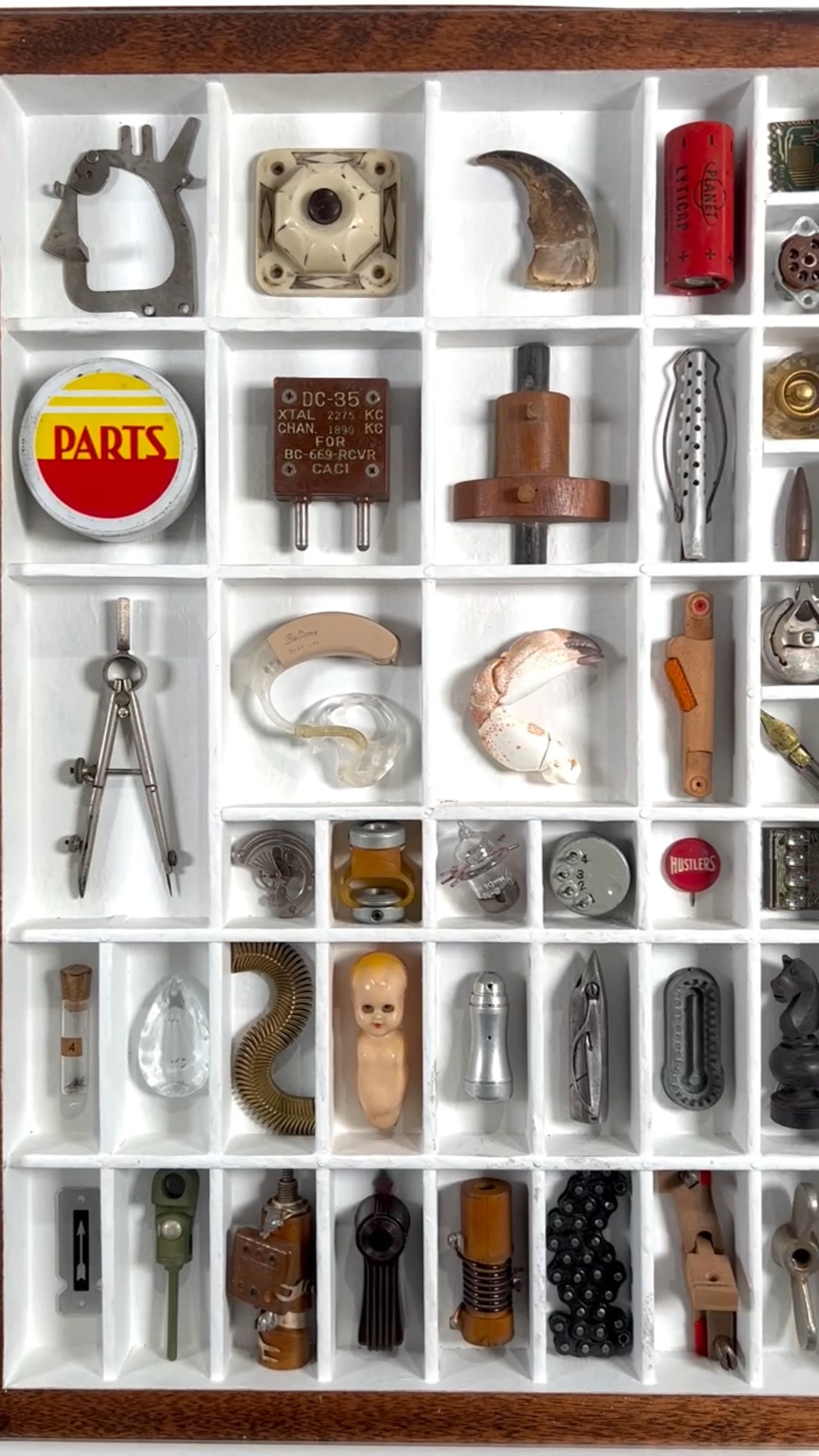 Cabinets of Curiosity in motion