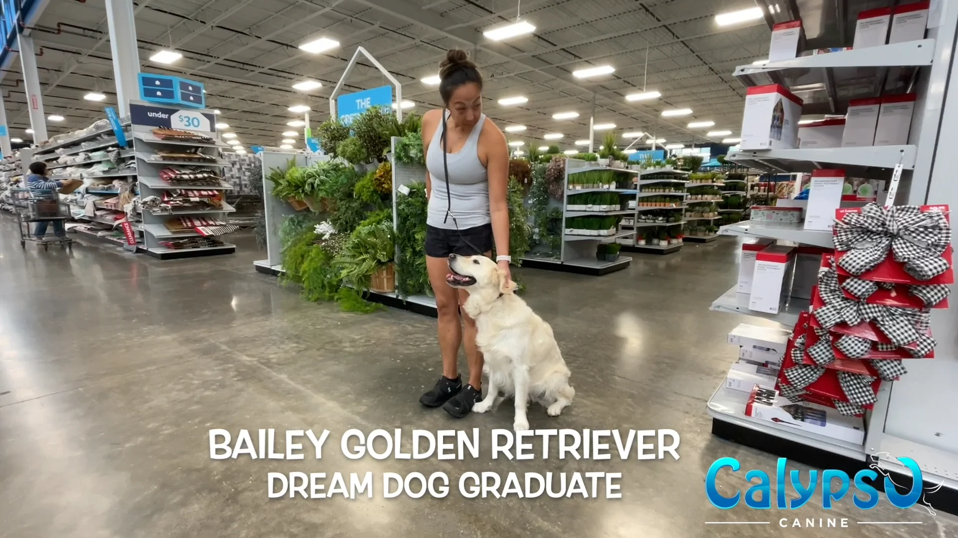 Bailey the Golden Retriever on Vimeo