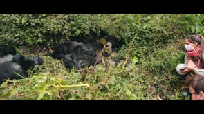 Happy Thanksgiving 2022!