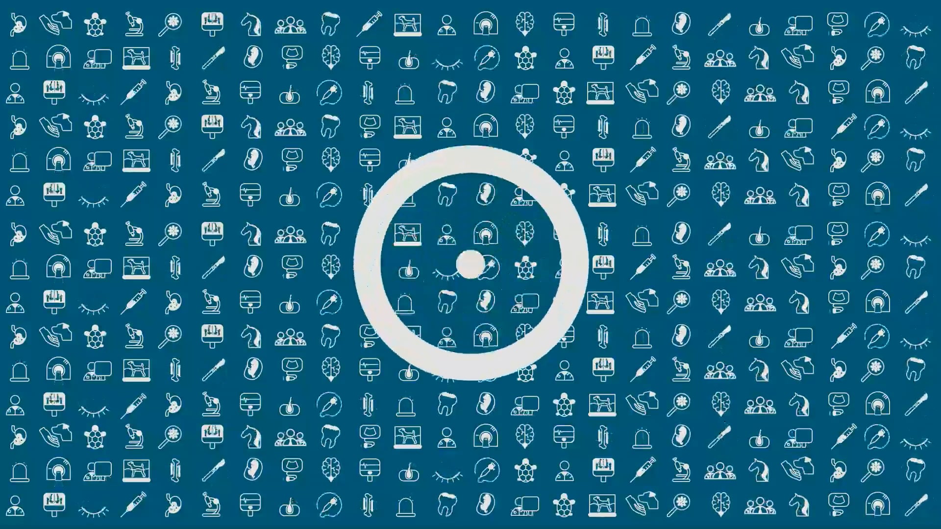 ArgomentiTerapiaDermatologicaCaneGatto-NuovaEdizione-Scarampella-Introduzione