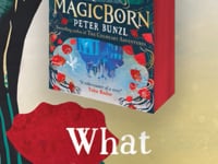 What inspired Magicborn?