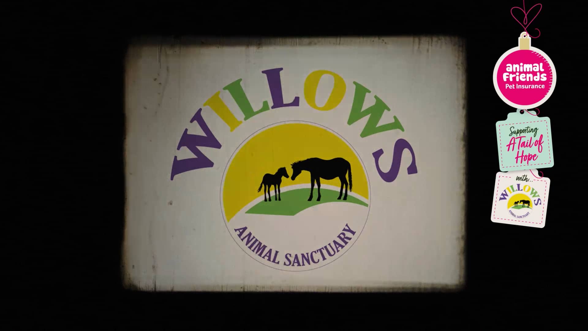 willows-animal-sanctuary-on-vimeo
