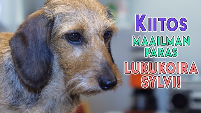 Kiitos maailman paras Lukukoira Sylvi