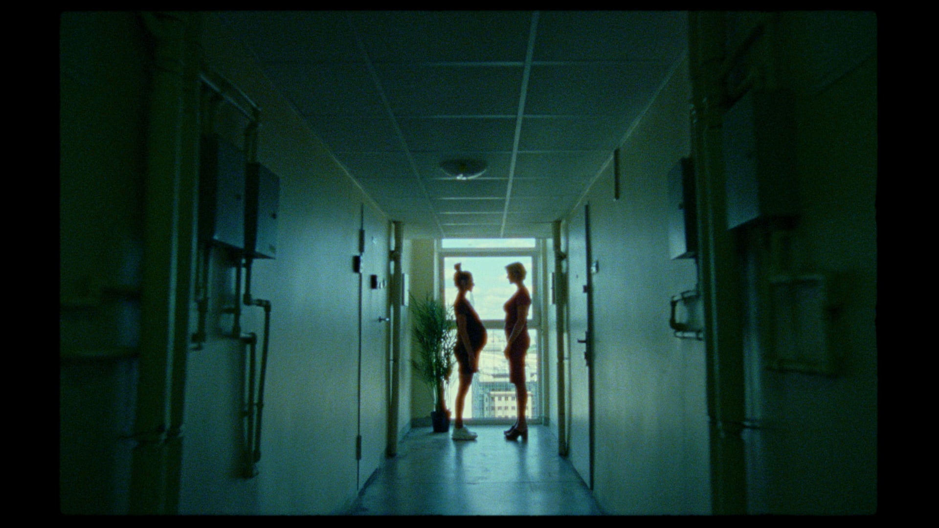 Bovska - Wielka Cisza