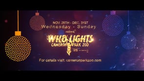 Wild Lights Promo 2022